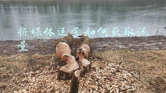 新媒体运营如何获取流量