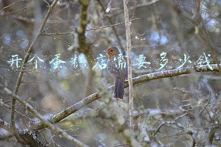 开个蛋糕店挣钱吗：开一个蛋糕店赚钱吗