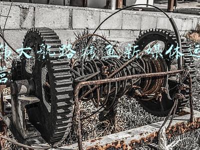 伟大航路烤鱼是连锁还是加盟(顾客称在长春伟大航路炭烤活鱼（钜城国际店）就餐时餐桌上出现蟑螂)