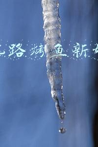 伟大航路上的彭格列(彭格列家族十代主角团)