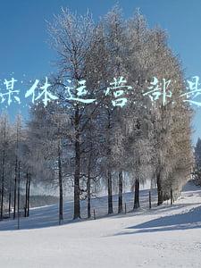 院新媒体运营部是干什么的