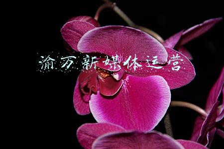 渝万高铁最新进展(渝万高铁正式开工建设，重庆主城到万州仅需50分钟)