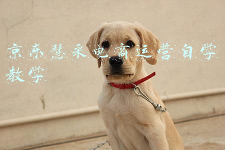京东慧采(什么是京东慧采？慧采有哪些模式？慧采入驻需要什么条件？)