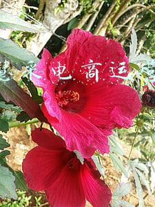 京东慧采电商运营自学教学