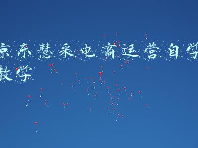 京东慧采网页版(京东慧采模式详细解析)