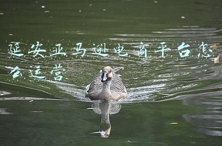 延安公共资源交易平台(延安市最新招标项目)