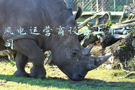 风电运营商设备上市公司
