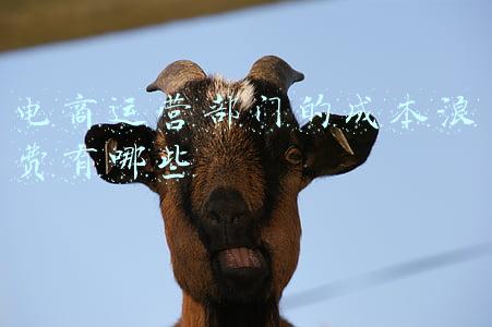 电商运营部门的成本浪费有哪些