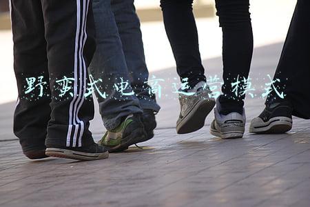 野蛮式电商运营模式