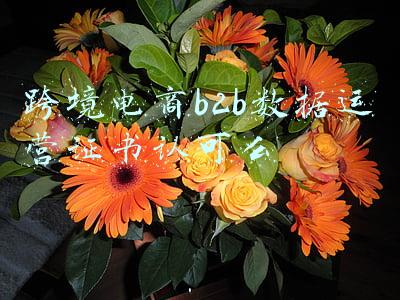 跨境电商b2b数据运营证书有用吗(联手人社部、教育部，阿里国际站帮3万外贸人才精准就业)