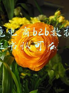 跨境电商b2b数据运营证书认可么