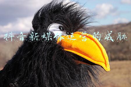 抖音新媒体运营的威胁