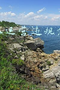 新媒体运营违规案例分析