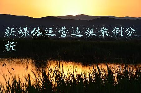 新媒体运营违规案例分析