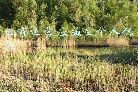女生做电商运营以后的发展(从“打工妹”到家乡“带货达人”，她的逆袭之路不简单)