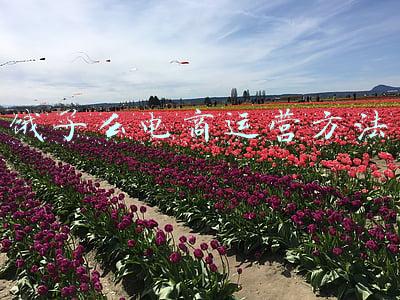 饿了么o2o运营模式(从美滴大战看：O2O产品3条护城河\u0026饿了么的2种抉择)