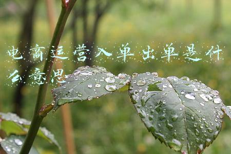 电商运营入单出单是什么意思