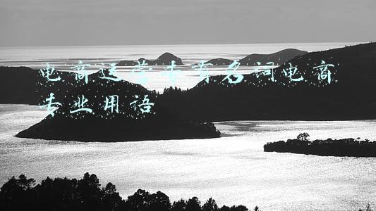 电商专有名词大全(淘宝电商必懂的100个专业术语)