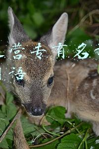 电商新名词(抖音为什么要做兴趣电商？)