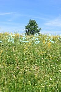 电商运营疫情