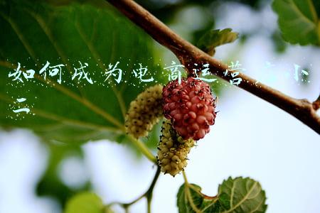如何成为电商运营店小二