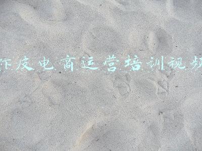 虾皮跨境电商运营技巧(虾皮运营技巧（详解）)