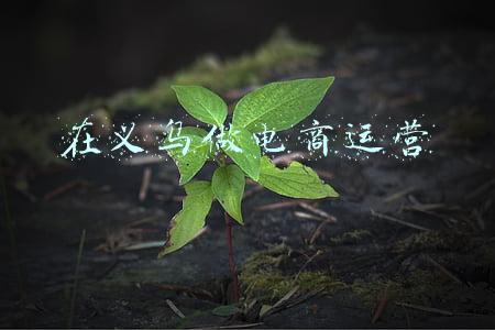 在义乌做电商有什么优势(被快手重塑的义乌电商)