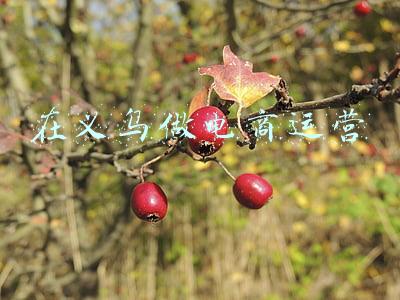 义乌电商怎么做(日均7000单！90后小伙在义乌怎样赚得第一桶金)