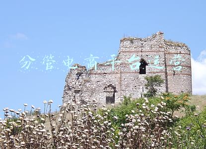 分管电商平台运营