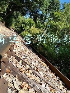 电子商务发展的瓶颈是什么(马云又“预言”对了？未来电商或将遇瓶颈，新的销售模式已兴起)