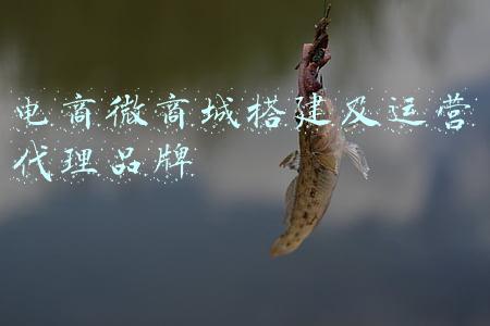 电商商城管理架构(京东商城，超大型电商系统架构设计原则与实践！)
