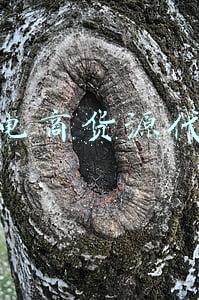 跨境电商货源代运营