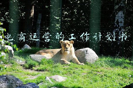 电商运营的工作计划书