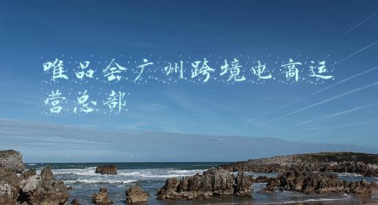 唯品会广州跨境电商运营总部