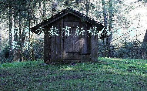 新东方教育新媒体运营要求