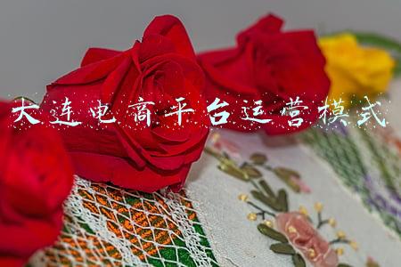 大连电商平台运营模式