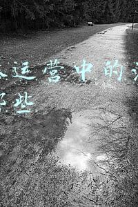 智合法律新媒体(【首发】获1200万Pre-A轮融资之后，专业法律媒体要怎么变现？智合认为知识付费和律所评级是可行的道路)
