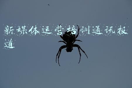 新媒体运营培训通讯报道