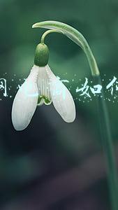 淘宝网电商如何运营