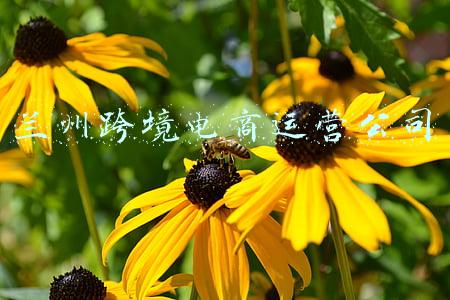 兰州跨境电商运营公司