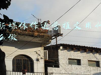新媒体作运营推文用什么做