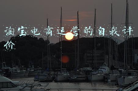 淘宝电商运营的自我评价