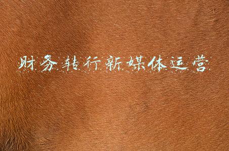 财务转行新媒体运营