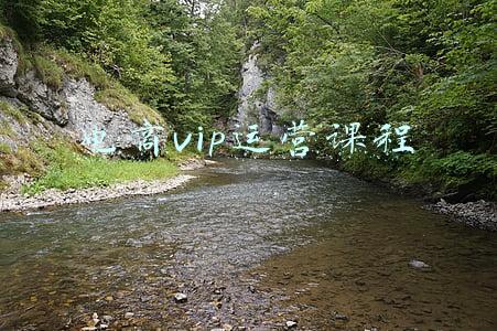 电商学院vip课程(电商行业付费会员体系深度拆解)