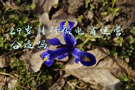 电商转行能做什么(程序员转行电商：三年三大步，获粉700万、年销售达7亿)
