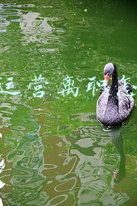 电商运营离职怎么办