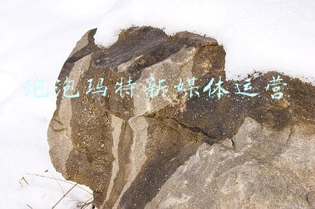 泡泡玛特新媒体运营