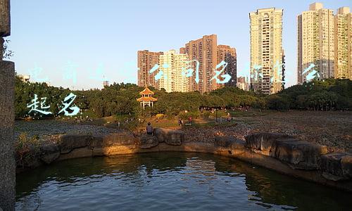 电商运营公司名称怎么起名