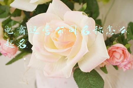 电商运营公司名称怎么起名