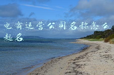 电商运营公司名称怎么起名